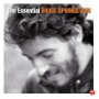 Bruce Springsteen The Essential Bruce Springsteen 3-CD set