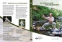 Qi Gong for Beginners