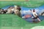 Qi Gong The Flow Continues