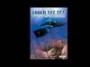 Under the Sea With Al Giddings