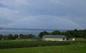 47Cayuga Lake rainbowPenny Goodsell Seneca County