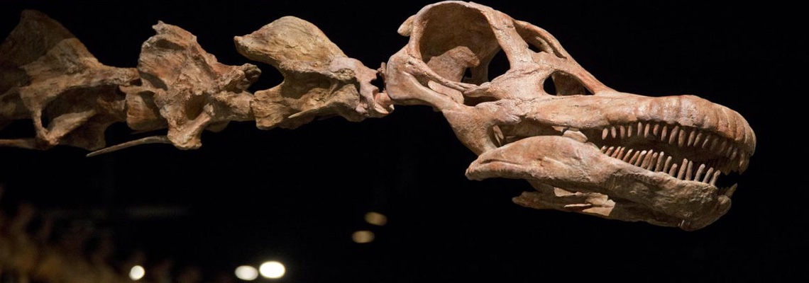 nova the day the dinosaurs died