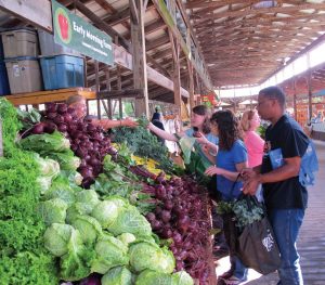 17 Ithaca Farmers Market