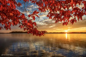 16Lake Delta Autumn Sunset Susan Campbell Oneida County