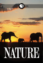 20130516_poster_nature