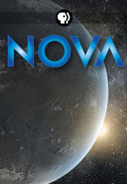 20130514_poster_nova