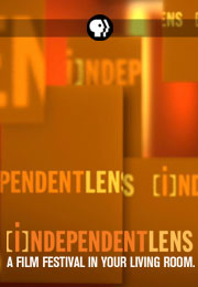 20130516_poster_indlens