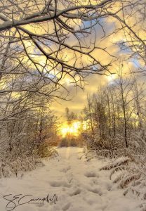 14 																																																				Winter SunriseSusan CampbellOneida