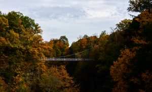 38 Fall in the Fall Creek Gorge Mark Avery Tompkins County