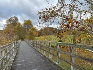 Creeper Trail Fall DRJ