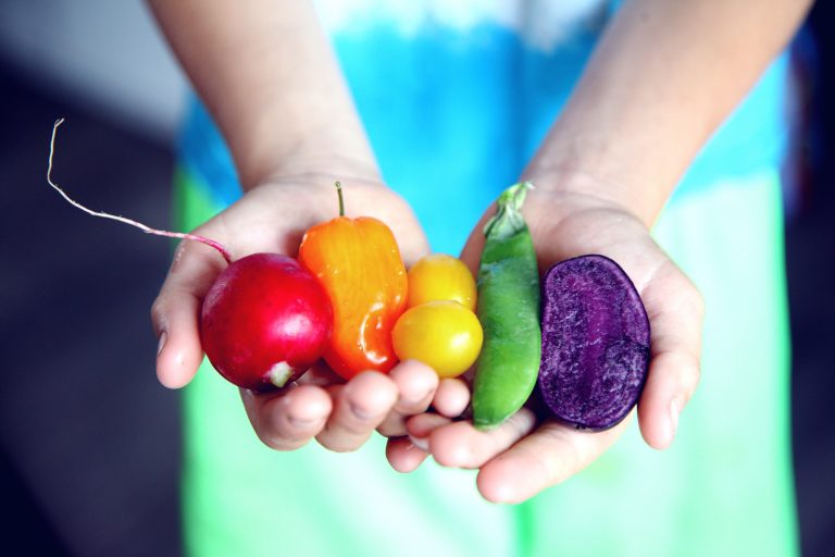 food, produce, healthy, rainbow, farming, grocery, diet