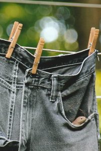 35Cozy nest in jeans pocket!Norma Davis Ontario County