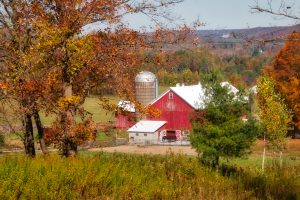 47 Fall in the country Ann Oliver Onondaga County