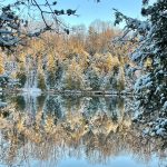 13 																																																				Green Lakes WinterMonica ToddOnondaga