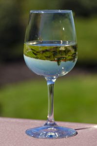 55Glass of Anyella's wine Terry Perrone Onondaga County