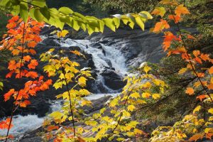 40Fall water Jim Hassett Lewis County
