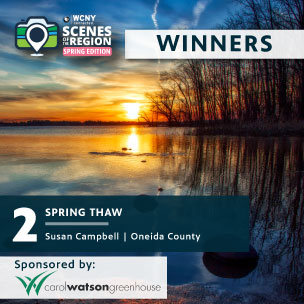 Winners_Website-Tab-2