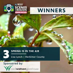 Winners_Website-Tab-3