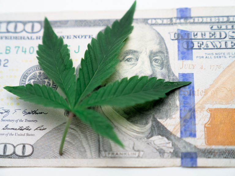 cannabis, weed, marijuana, money, cash, business