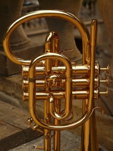 flugelhorn-8447_1920