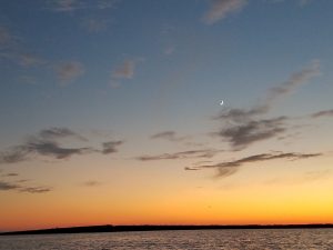 43 																								Sunset over Lake OntarioConnie McCarthyOswego