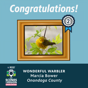 sotr_winners_web_2_image
