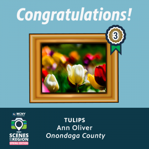 sotr_winners_web_3_image