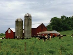 the barn