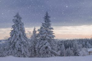 winter-landscape-g8274d5ce4_1920