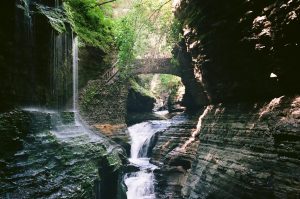 79Watkins Glen State ParkPaul Suskin Tompkins County