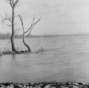 80Onondaga Lake ParkElaine Suskin Onondaga County