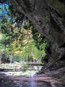 67Tinker Falls in the Labrador Hollow Unique Area  Lance Clark Onondaga County