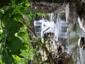 7Hidden OasisNikki Atkinson Yates County