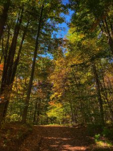 24Mother Nature’s colors on displayBarbara Williams Madison