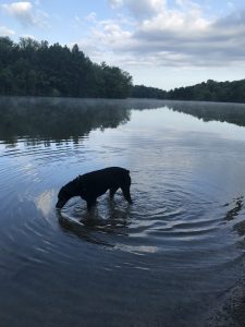 31Oswego River Lori OFarrillOswego County