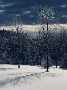 83 Winter morningElizabeth LaMay Madison County