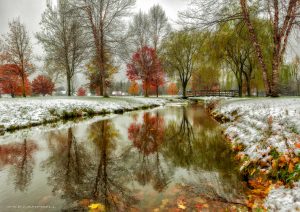 13 Snowy AutumnSusan Campbell Oneida County