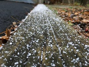 22 Outside our home- drivewayZoë Rodgers Tompkins County