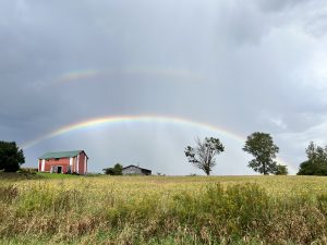 3 																													Rainbow BurstsAndrea Seidner	Onondaga