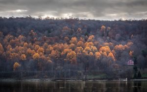 32Amongst the Gold Sarah Moses Onondaga County