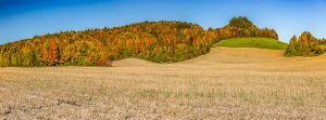 34Driving through fall Andrew Goldberg   Onondaga County