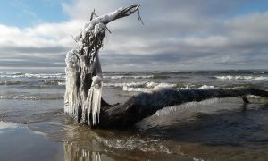 33 Christmas at Southwick Beach!Maureen Breiland Jefferson County