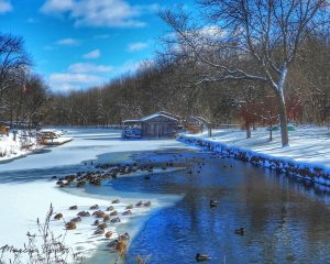 58											An Erie canal winter					Marcia Bower	Onondaga