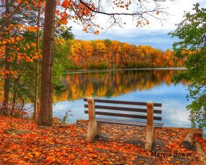 81Colorful reflectionsMarcia Bower Onondaga County