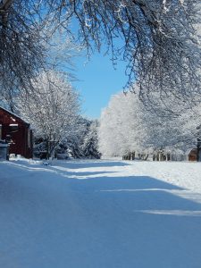 53Walking in a Winter Wonderland Marshall Handfield Ontario County