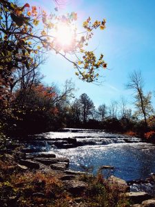 39 "Falling" into Autumn Nikki Atkinson Ontario County