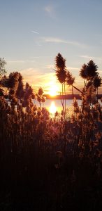 82Evening at the LakeSharon Livingston-Bean Onondaga County