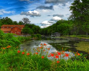 104Erie Canal beauty Marcia Bower Onondaga County