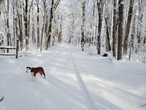 64 Quiet North Hauschild Cortland County