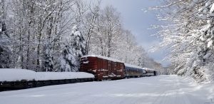 141 Winter SilenceDebra Hubbard Herkimer County